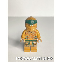 Lloyd golden ninja TK