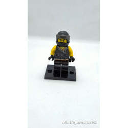 cole sons of garmadon